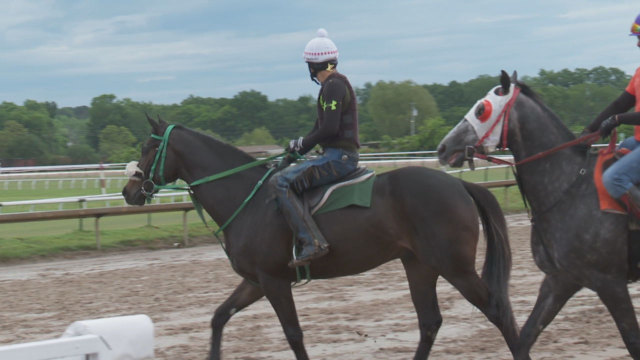 Horses warm up on the track at Louisiana Downs.jpg